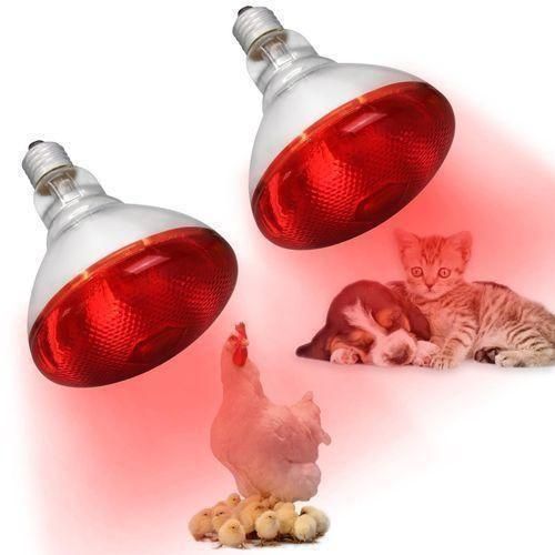 Adweek Chicks Little Giant Infrared Farm Heat Lamp Thermal Preservation Brooder Bulbs Chicks Pig Dog Cat Lamp