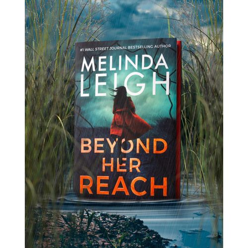 Beyond Her Reach (Bree Taggert) by Melinda Leigh (Author)