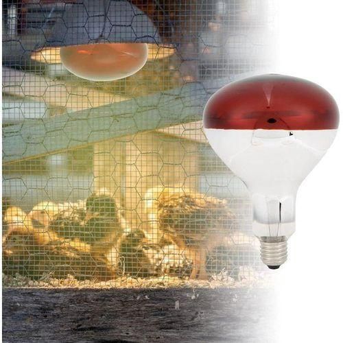 Hot Sale Red Infrared chicken bulb Heat Lamp for Chickens Coop Brooder and Reptile Heat Bulb 240 Volts Infrared Red Light KSh