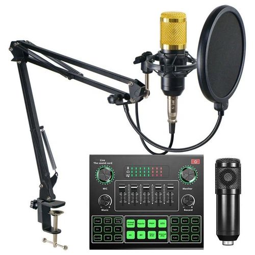 BM800 V9 Microphone Set with Reverb, Echo & Effects