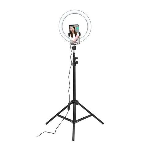 QX300 12-Inch LED Ring Light with Adjustable Stand USB Powered Dimmable Brightness Warm Neutral Cool White Lighting for Content Creators and Vloggers