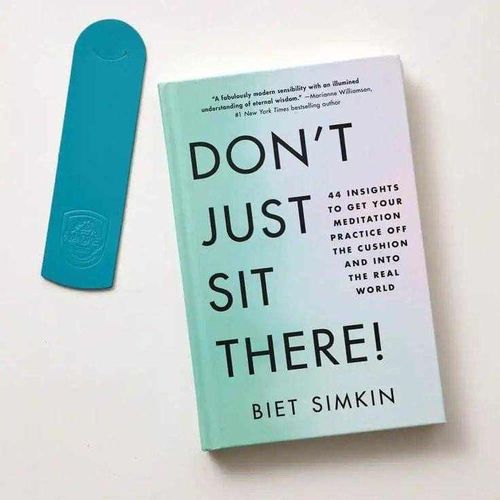 Dont Just Sit There 44 Insights to Get Your Meditation Practice Off the Cushion and Into the Real World Book by Biet Simkin