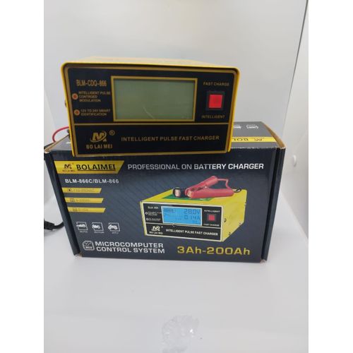 Bolaimei 12V/24V Pulse Repair Charger For Automotive Batteries