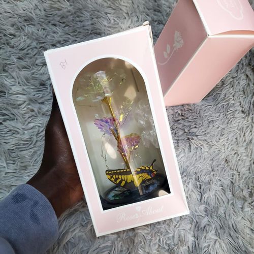 LED Rose Light With Butterfly & LED String Lights – 22×11cm Decorative Battery Operated Lamp