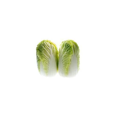 Chinese Cabbage seeds