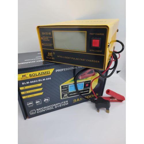 Bolaimei 12V/24V Pulse Repair Charger for Automotive Batteries