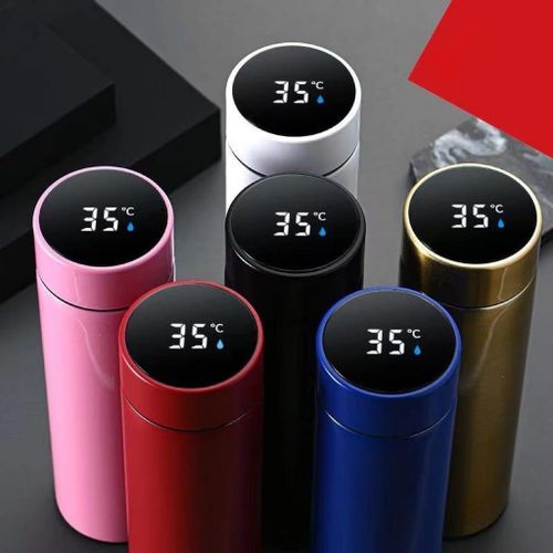 Vacuum Flask Bottle with Digital Temperature Display