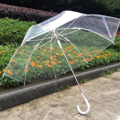 Premium Big-Size Transparent Dome Umbrella – Extra Large Clear Bubble Umbrella with Curved Handle – Windproof Storm Umbrella for Weddings, Events, and Everyday Use – 110V Visual Clarity Design