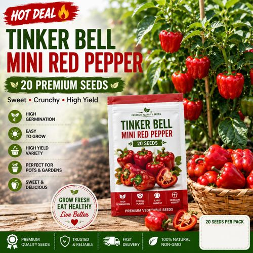 Tinker Red Mini Bell Pepper Seeds – 20 Premium Seeds for Planting Sweet Mini Red Pepper Vegetable Seeds for Home Garden, Kitchen Garden, Urban Container Gardening, Pots, Grow Bags, Raised Beds, Greenhouse & Commercial Farming