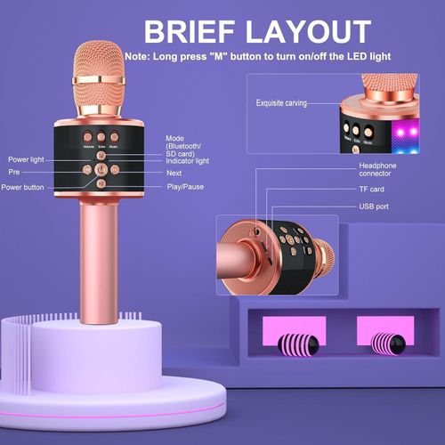 Handheld Bluetooth Karaoke Mic – Portable Speaker with Echo Effect