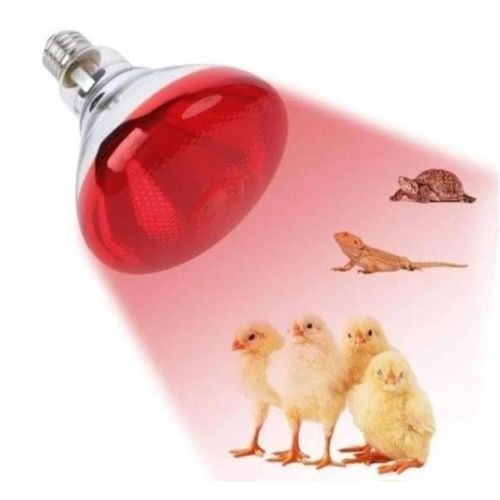 Red Chicken Bulb, Heat Lamp For Chickens Coop Brooder And Reptile Heat Bulb Light