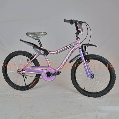 Swing BMX Style Size 20, Durable & Fun Kids rides 7-10yrs Riders with Madguard bicycle