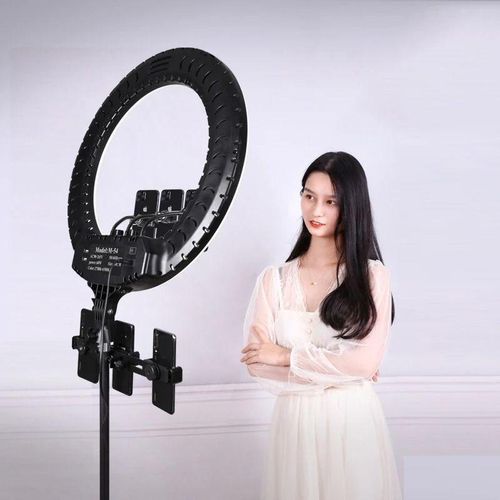 RL-18 18-Inch LED Ring Light with Phone Mount and Adjustable Brightness