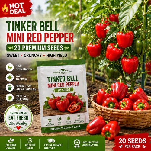 Tinker Red Mini Sweet Bell Pepper – 20 Seeds for Growing Mini Red Sweet Pepper Vegetable Seeds for Kitchen Garden, Backyard Vegetable Garden, Container Gardening, Pots, Grow Bags, Raised Beds, Greenhouse & Farm Planting