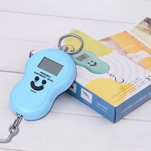 Electronic Scale Digital Portable 50Kg Weighing Scale Mini Hand Hook Scale