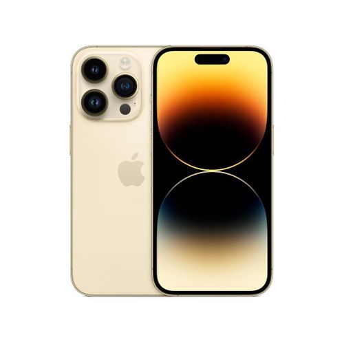 iPhone 13 Pro, 256GB 6GB RAM Dual SIM 5G 6.1 Super Retina XDR OLED - Gold