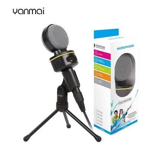 Stereo Singing Microphone