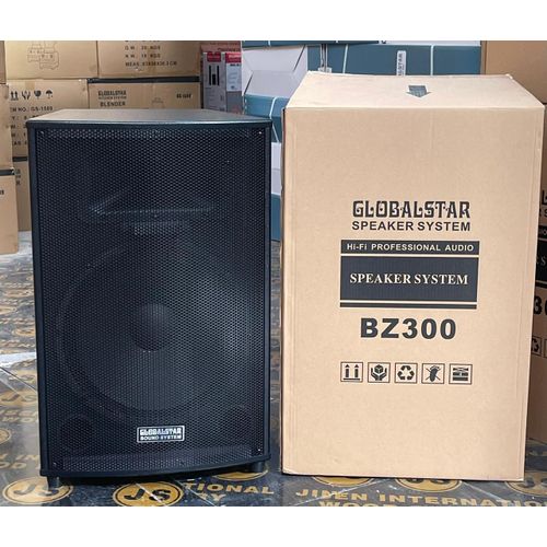 BZ300 15inches no amplifire speaker system