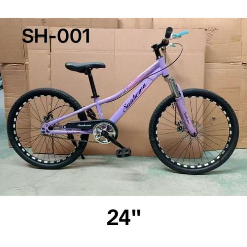 Sanhema SH-001 mountain bike with 24-inch wheels