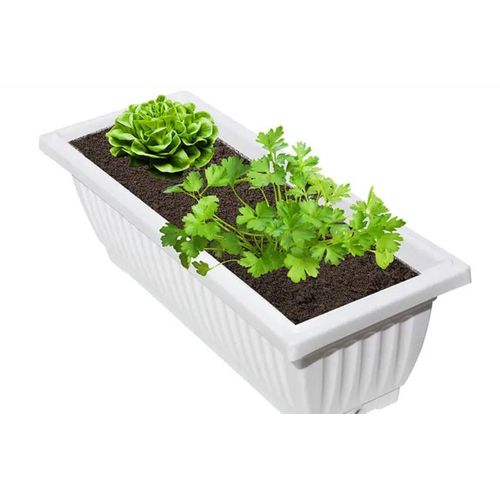 White Rectangular plastic planter (plants are not included)