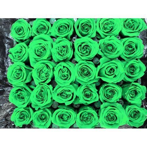BUNCH OF 30 STEMS ROSE FLOWERS(EMERALD GREEN)