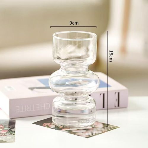 Clear Decorative Glass Hydroponic flower vase