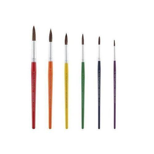 6Pcs Artist Acrylic Oil Watercolor Painting Brush Set - Multicolour