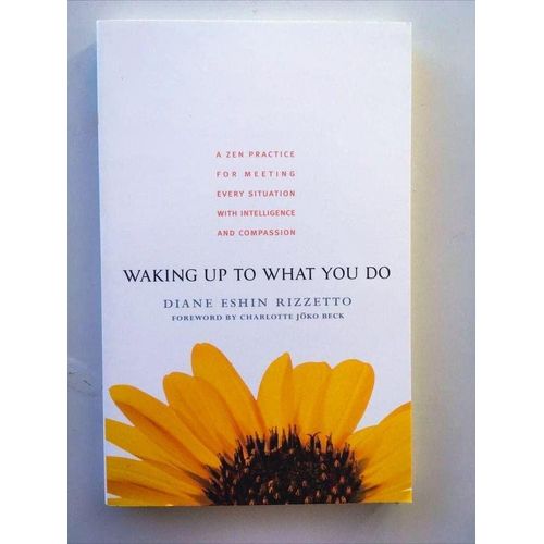 Waking Up to What You Do: A Zen Practice for Meeting Every Situation with Intelligence and Compassion by D. Eshin Rizzetto (Author)