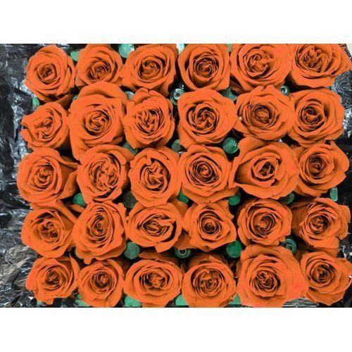 BUNCH OF 30 STEMS OF ROSE FLOWER PRESERVED