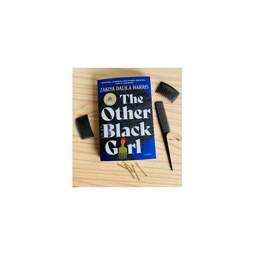 The Other Black Girl: A Novel