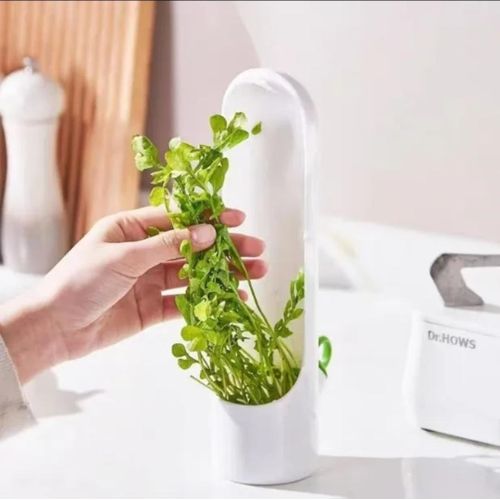 Herb Storage Container