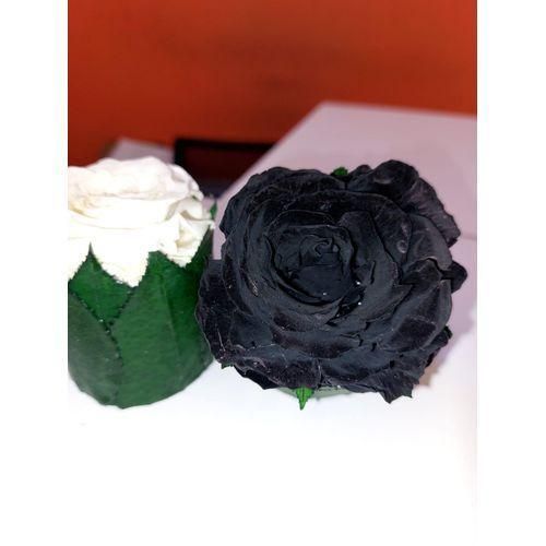 Boutone Preserved Flowers