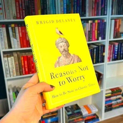 Reasons Not to Worry Book By Brigid Delaney