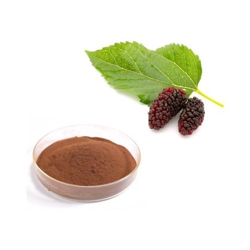 Mulberry Extract Herbal Supplement 100g
