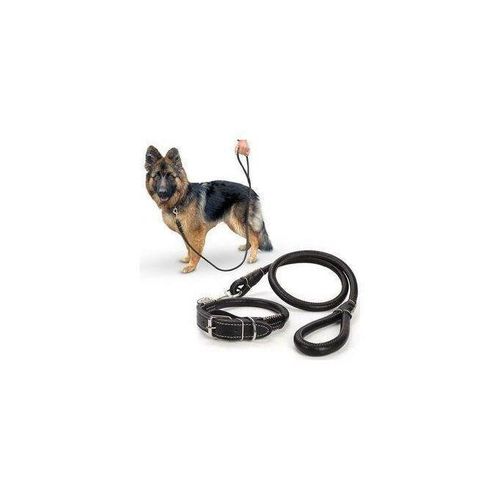 Leather Dog Collar And Leash - Leather In Style Complete Set Easy Grip Rolled Up