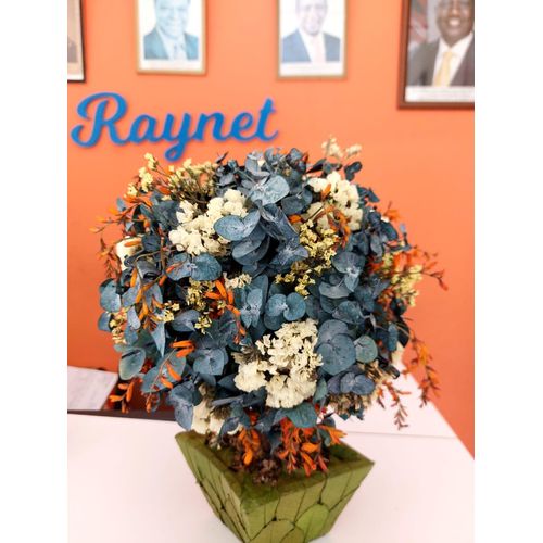 Clay Pot Arrangement Croscomia flowers