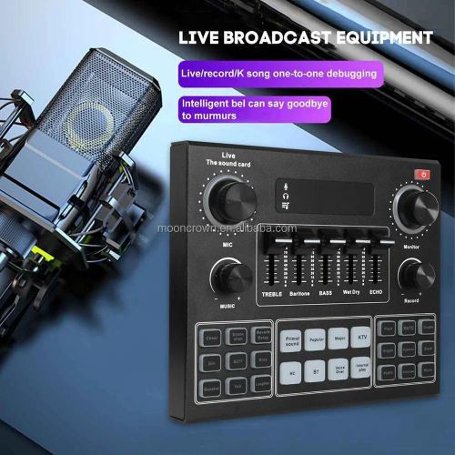 BM800 Professional Mic with V9 Sound Card and Headphone Monitoring