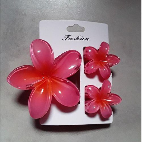 A set of hawaaian claw clips