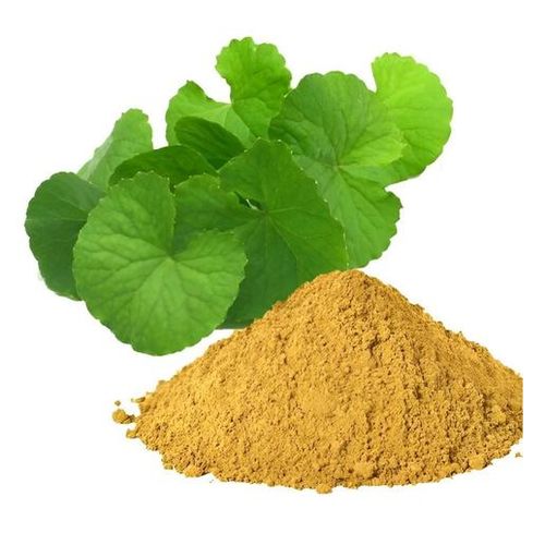 Brahmi Leaf Powder 100g - Herbal Extract, Fights Insomnia, Improves Memory, Prevents Anxiety