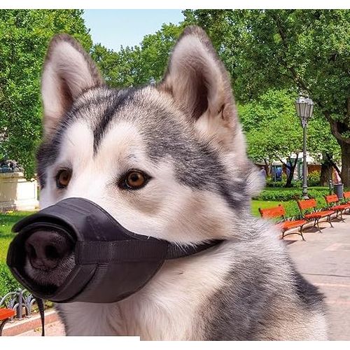 Adjustable padded muzzle designed for dogs