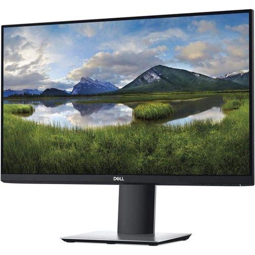 P Series 24" Screen LED-Lit Monitor Black (P2419H)
