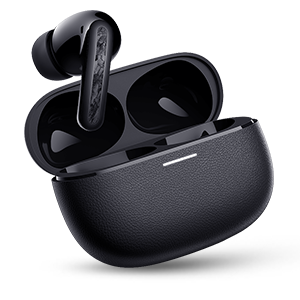 Earbuds