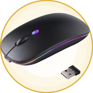 Computer Accessories