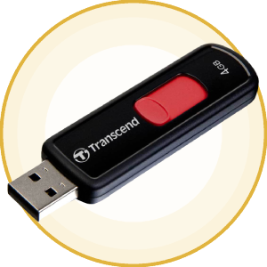 Flash Drives