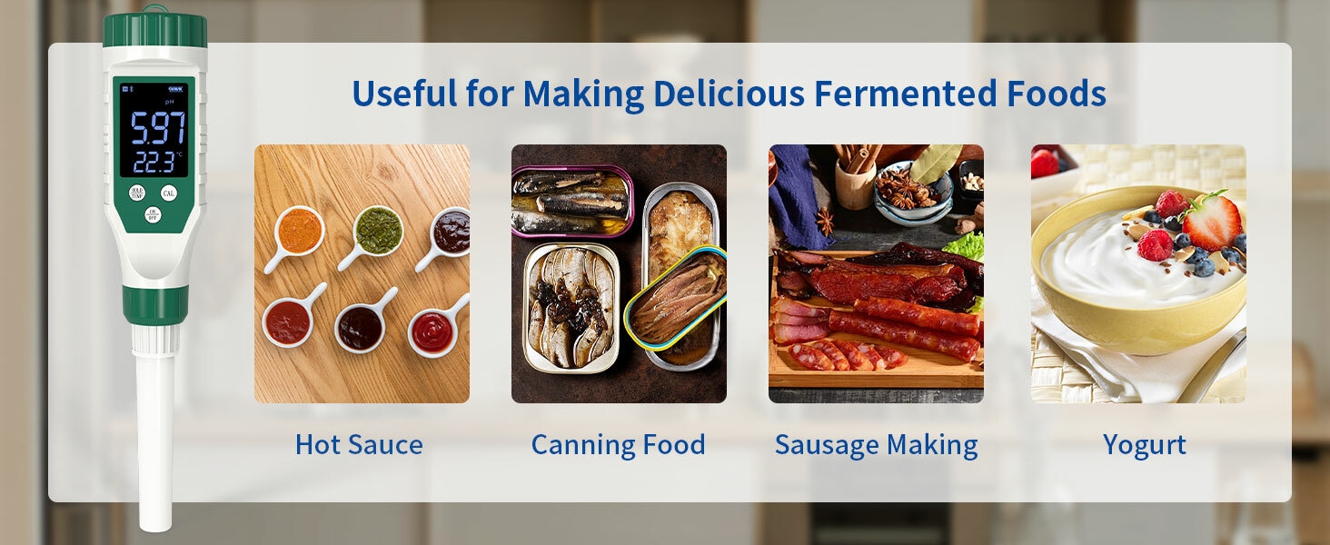 Digital pH Tester for Fermented Foods 