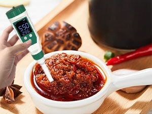 pH Tester for Fermenting Sauce