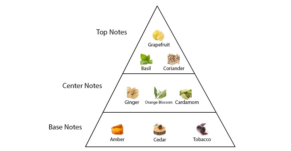 dolce and gabbana the one edp basenotes