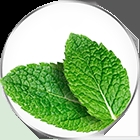 Fixodent PLUS Food Barrier Fresh Denture Adhesive - Mint flavour