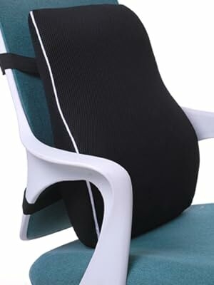 back cushion