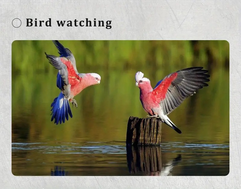 10 300x40 continuous infinite zoom monocular hd portable pocket telescope with mobile phone connecting stand tripod metal pull up monocular suitable for outdoors concerts hunting camping etc details 17